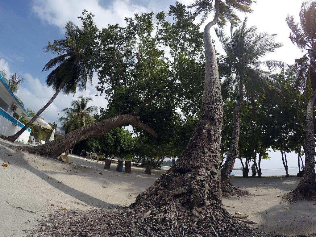 Rip Tide Vacation Inn, K.Guraidhoo Guraidhoo  Exterior photo