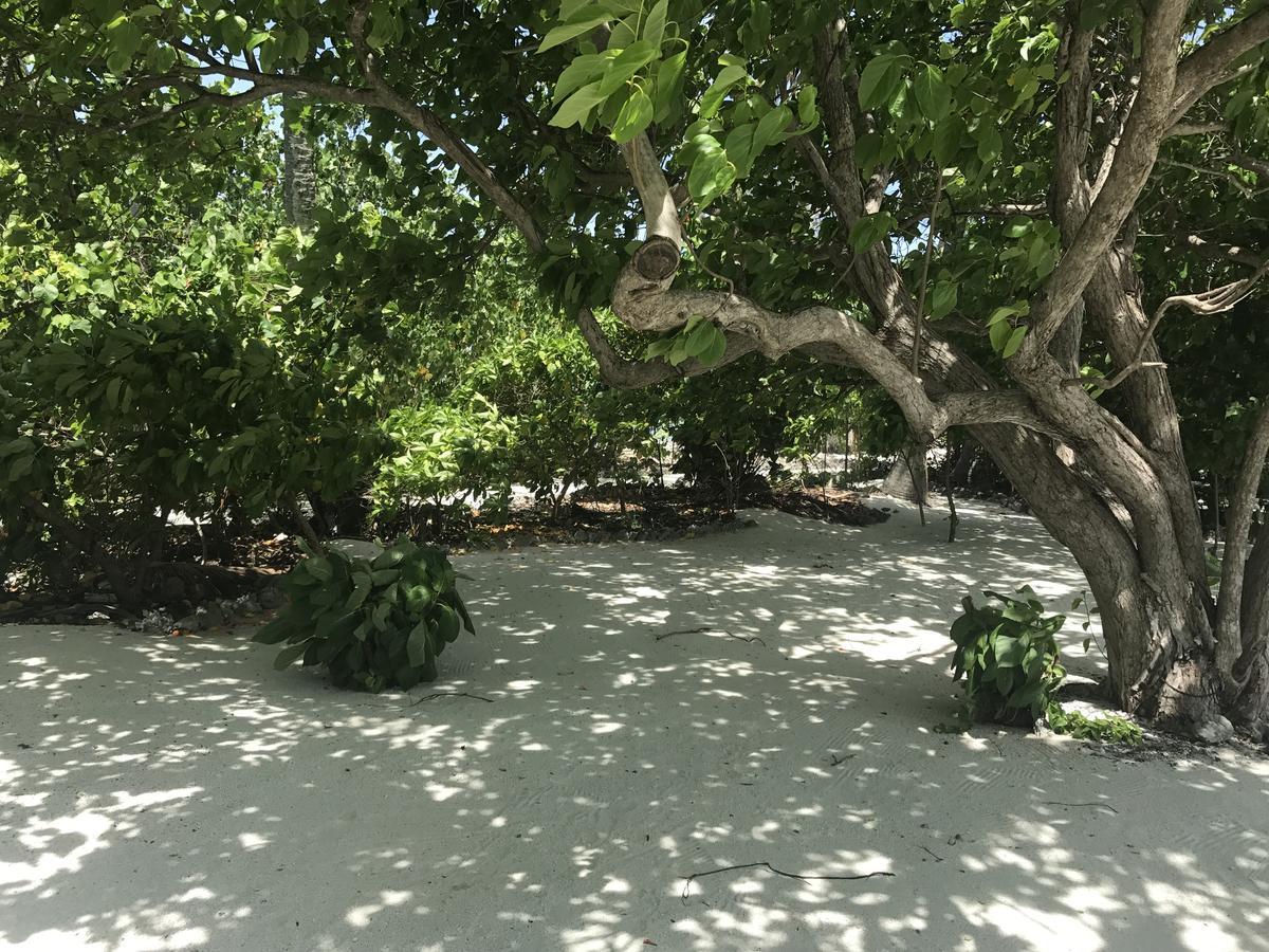 Rip Tide Vacation Inn, K.Guraidhoo Guraidhoo  Exterior photo